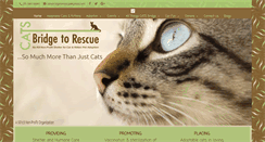 Desktop Screenshot of catsbridge.org